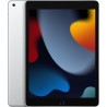 Apple iPad 10.2" (9° Gen 2021) 256Gb WiFi argento